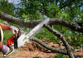 Best Lot and Land Clearing  in Onalaska, WI