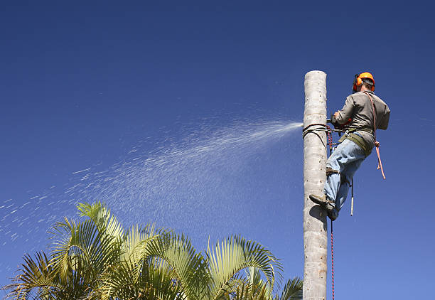 Best Aeration Services  in Onalaska, WI